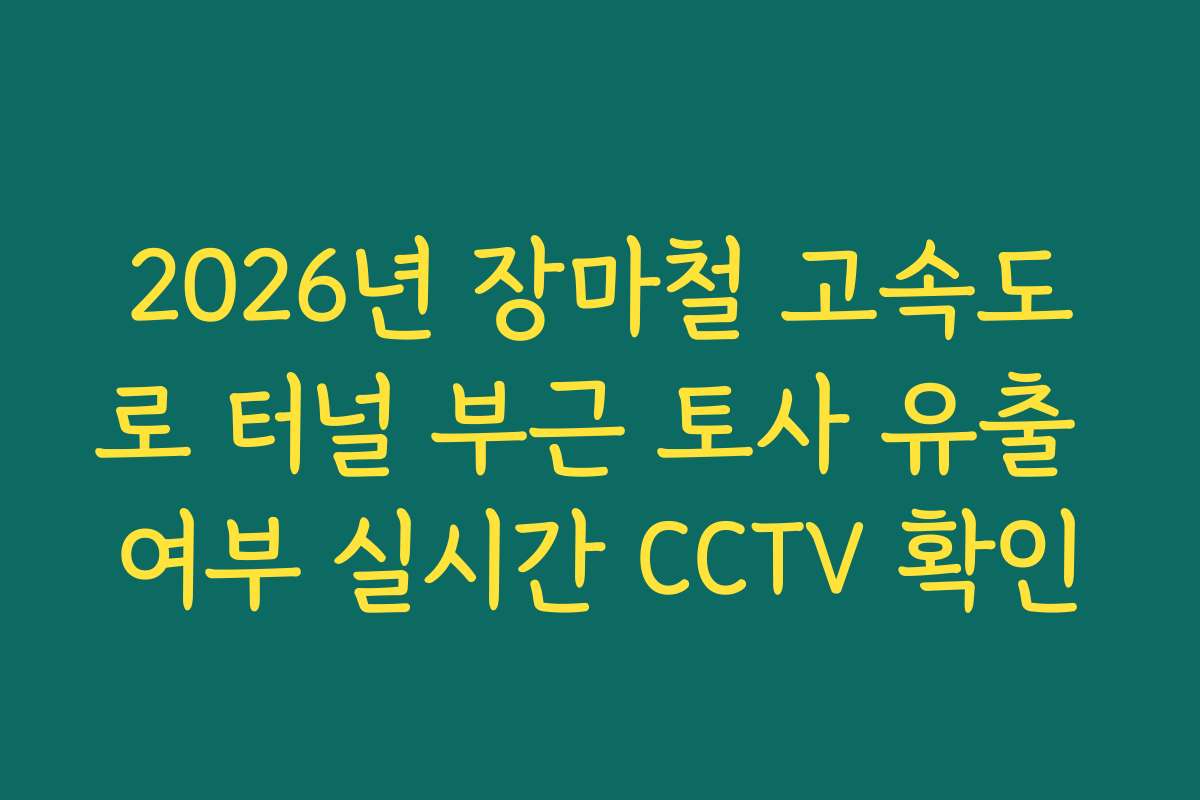 2026년 장마철 고속도로 터널 부근 토사 유출 여부 실시간 CCTV 확인 2026년 장마철 고속도로 터널 부근 토사 유출 여부 실시간 CCTV 확인