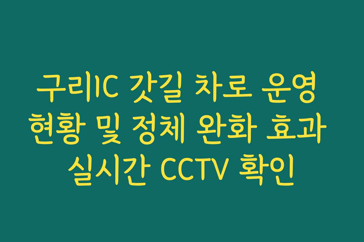 구리IC 갓길 차로 운영 현황 및 정체 완화 효과 실시간 CCTV 확인 구리IC 갓길 차로 운영 현황 및 정체 완화 효과 실시간 CCTV 확인