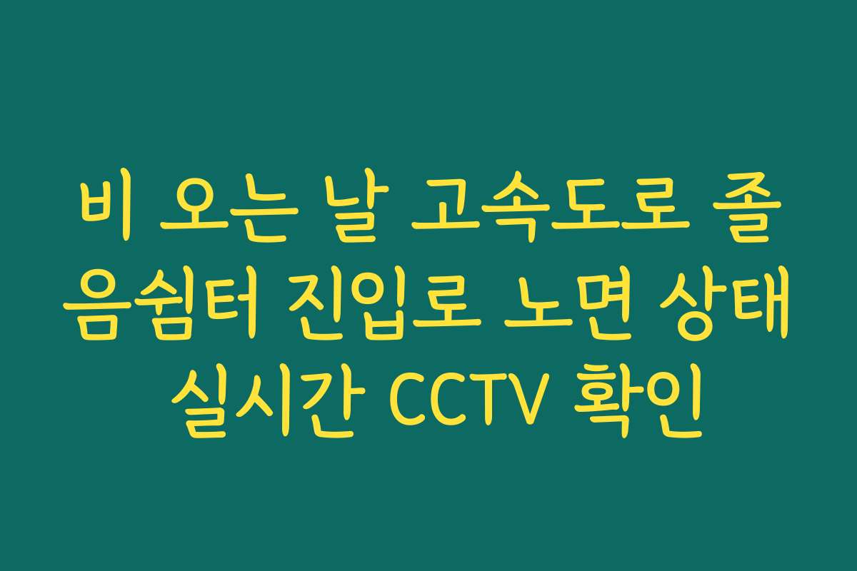 비 오는 날 고속도로 졸음쉼터 진입로 노면 상태 실시간 CCTV 확인