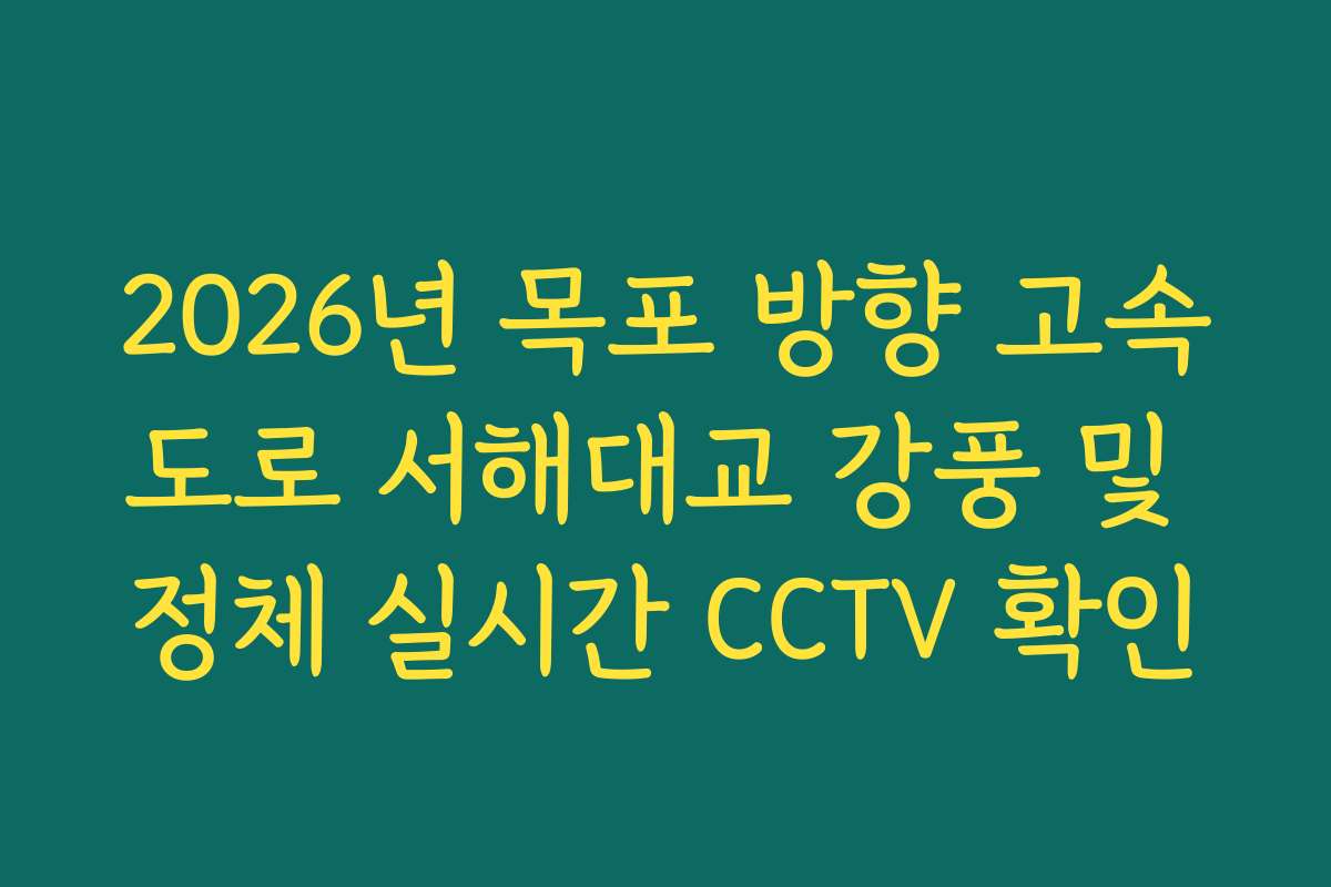 2026년 목포 방향 고속도로 서해대교 강풍 및 정체 실시간 CCTV 확인