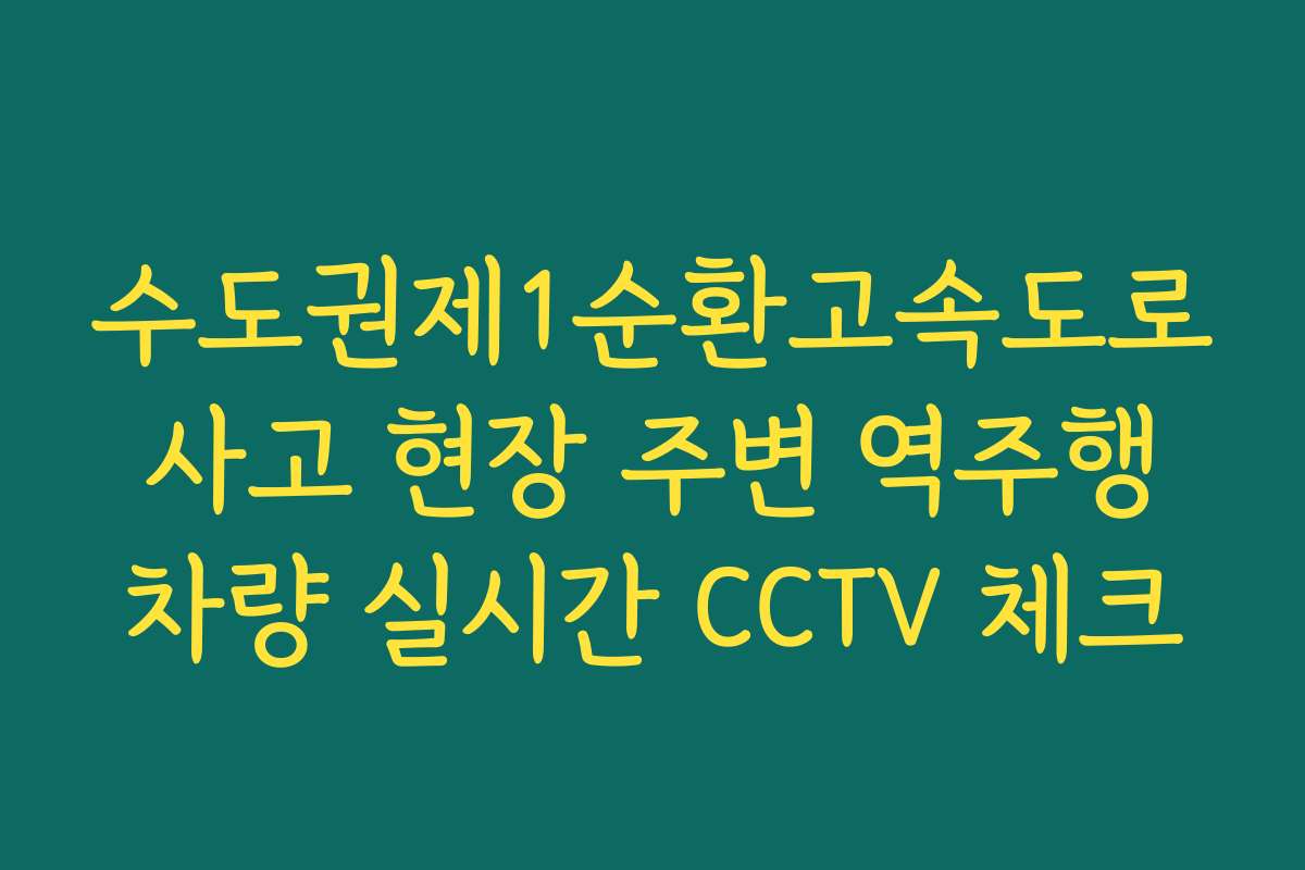 수도권제1순환고속도로 사고 현장 주변 역주행 차량 실시간 CCTV 체크