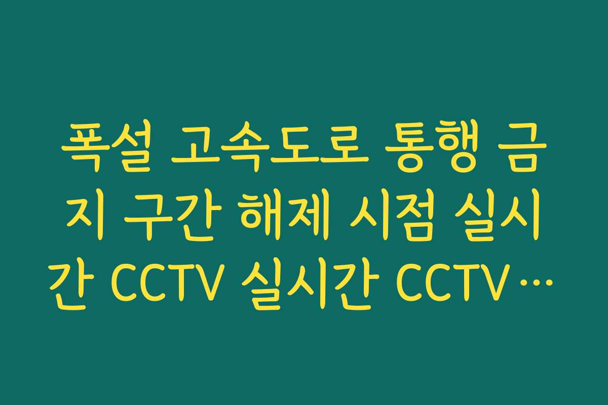 폭설 고속도로 통행 금지 구간 해제 시점 실시간 CCTV 실시간 CCTV 확인
