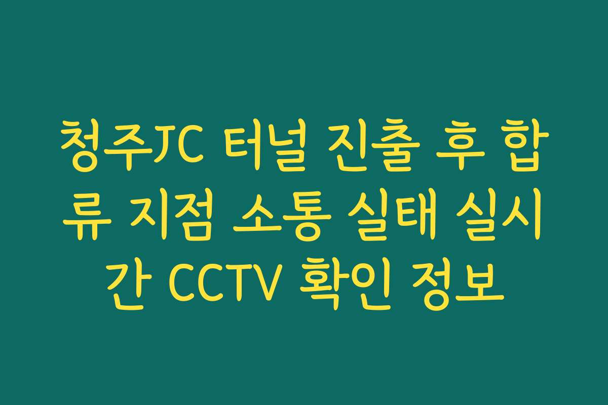 청주JC 터널 진출 후 합류 지점 소통 실태 실시간 CCTV 확인 정보 청주JC 터널 진출 후 합류 지점 소통 실태 실시간 CCTV 확인 정보