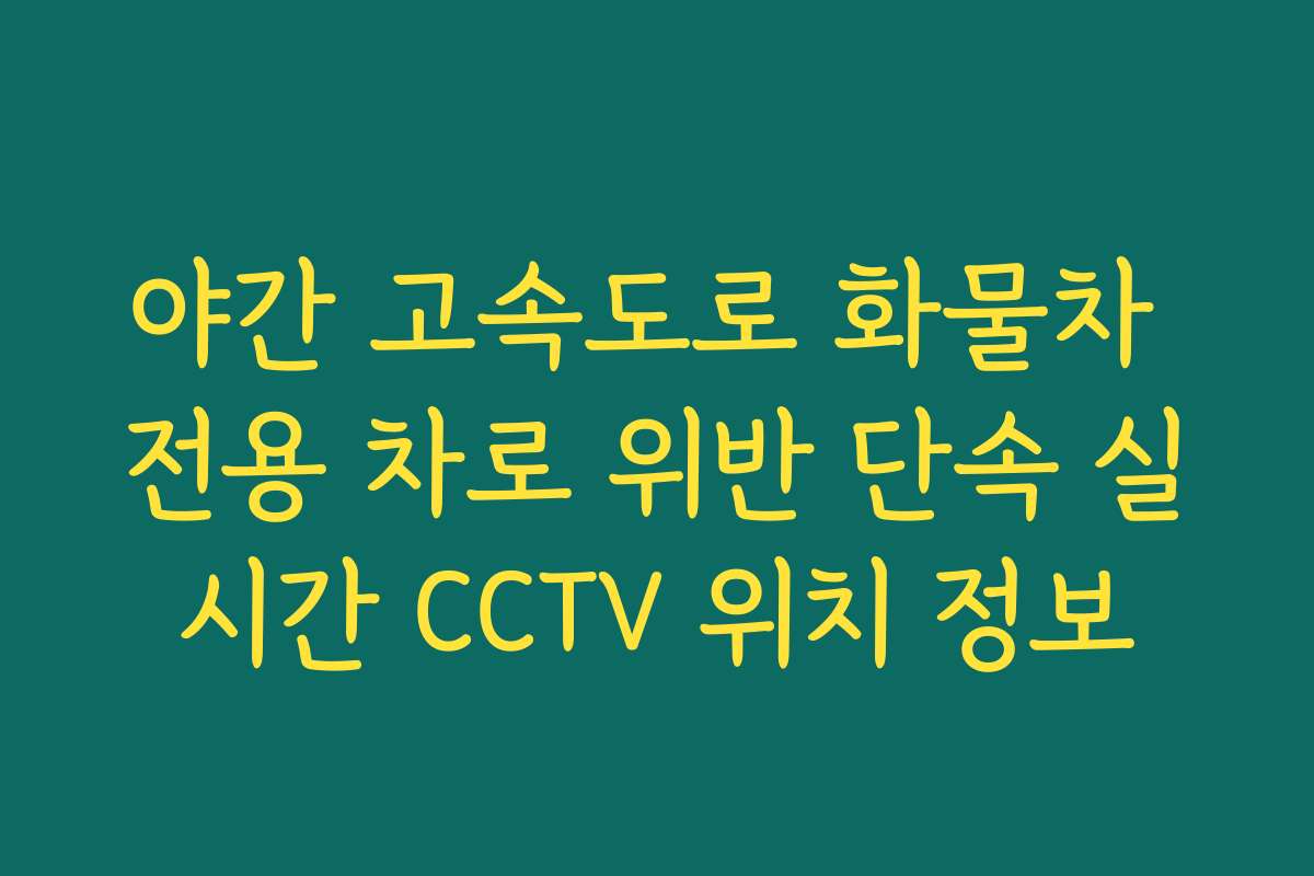 야간 고속도로 화물차 전용 차로 위반 단속 실시간 CCTV 위치 정보 야간 고속도로 화물차 전용 차로 위반 단속 실시간 CCTV 위치 정보