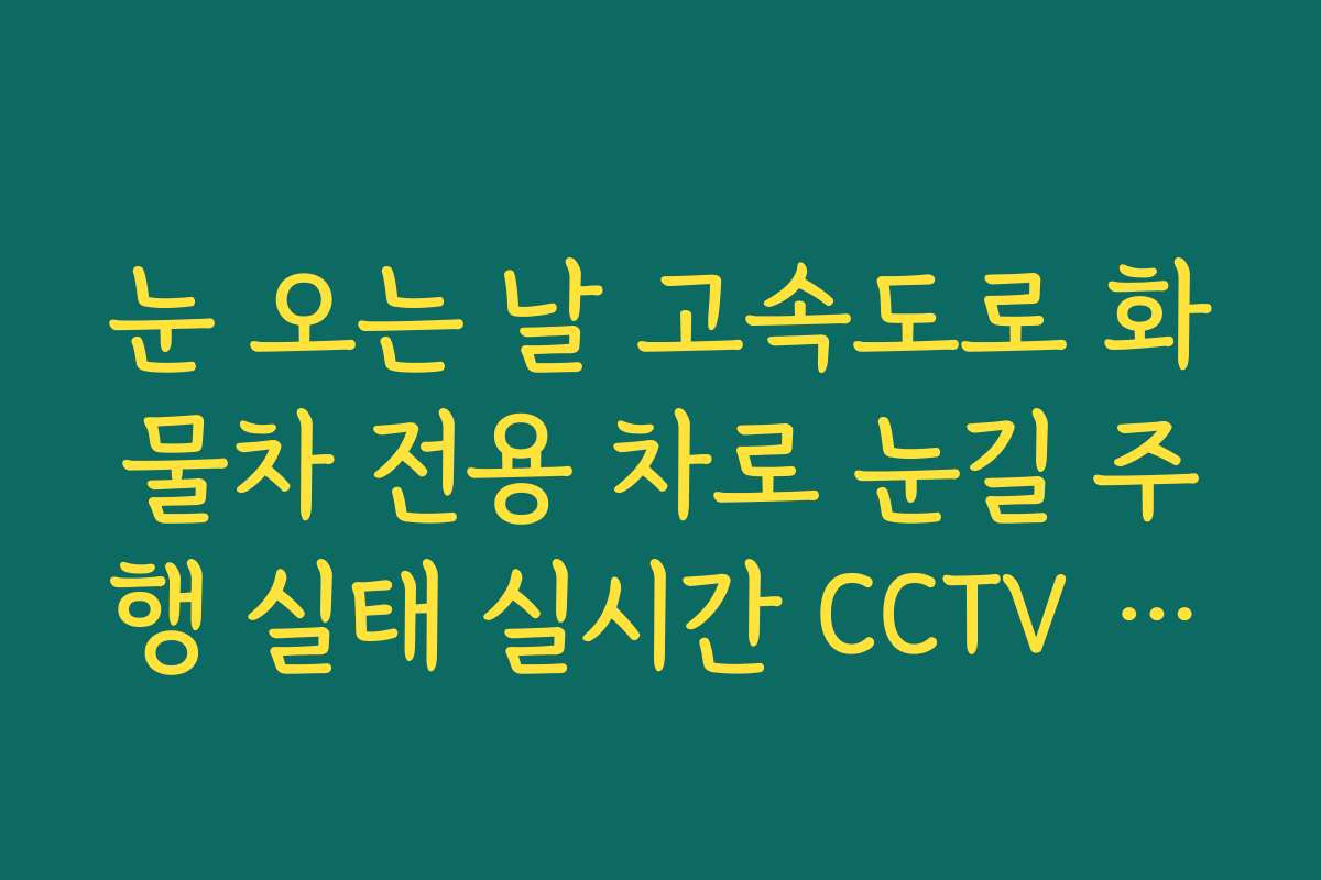 눈 오는 날 고속도로 화물차 전용 차로 눈길 주행 실태 실시간 CCTV 확인 눈 오는 날 고속도로 화물차 전용 차로 눈길 주행 실태 실시간 CCTV 확인