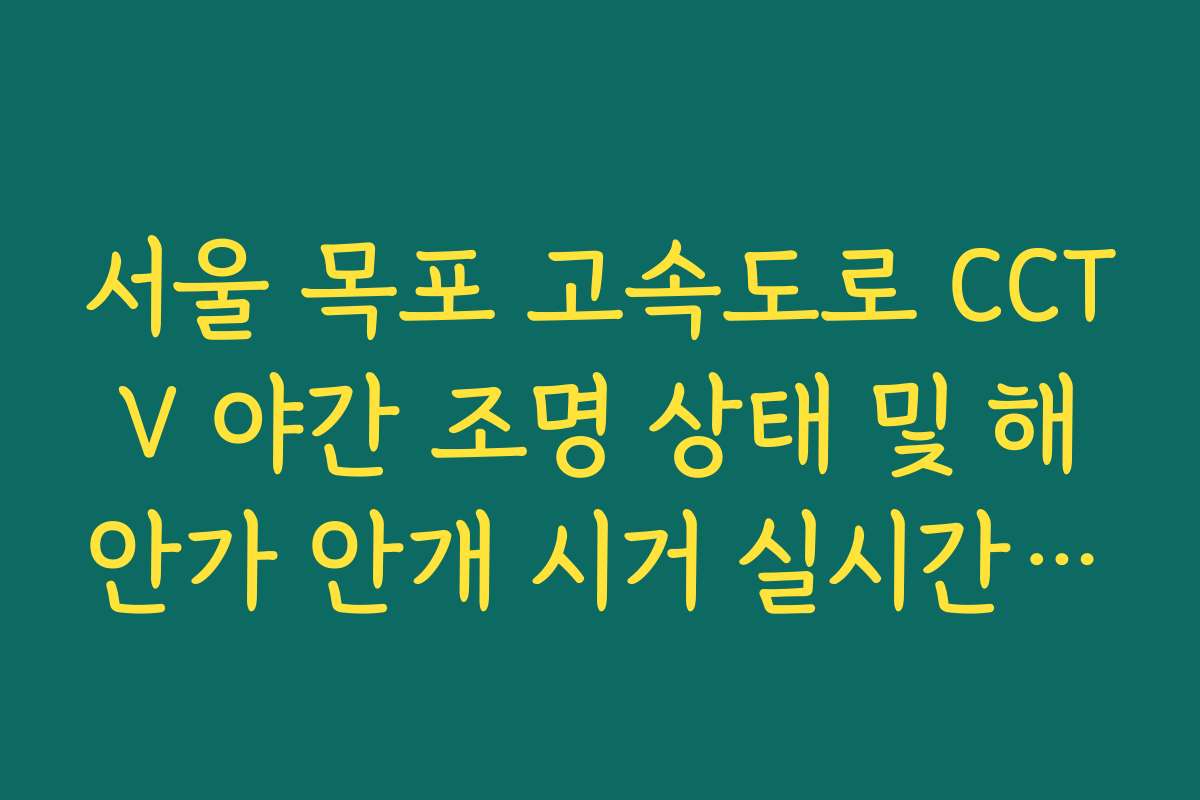 서울 목포 고속도로 CCTV 야간 조명 상태 및 해안가 안개 시거 실시간 체크