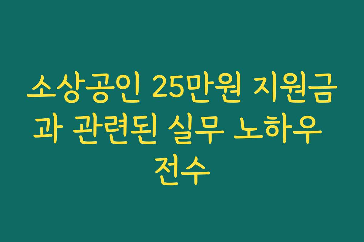 소상공인 25만원 지원금과 관련된 실무 노하우 전수