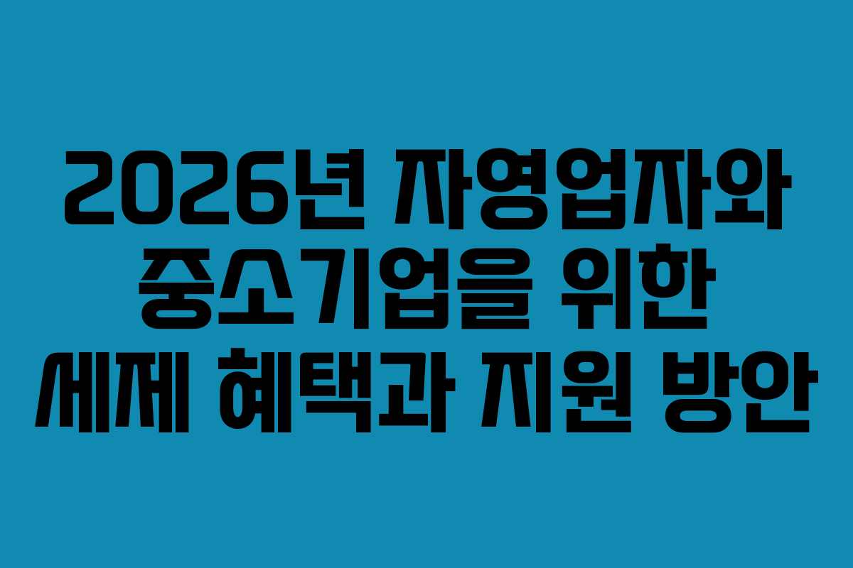 2026년 자영업자와 중소기업을 위한 세제 혜택과 지원 방안 2026년 자영업자와 중소기업을 위한 세제 혜택과 지원 방안