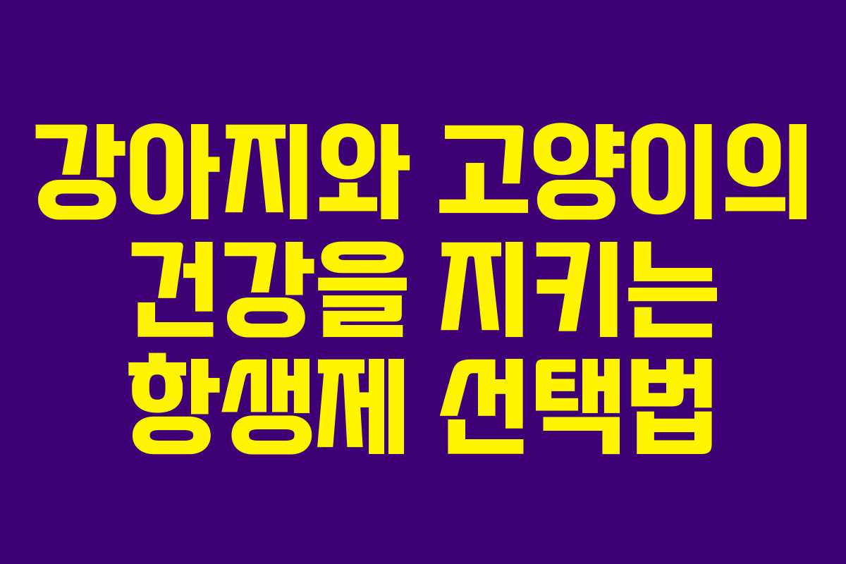 강아지와 고양이의 건강을 지키는 항생제 선택법 강아지와 고양이의 건강을 지키는 항생제 선택법