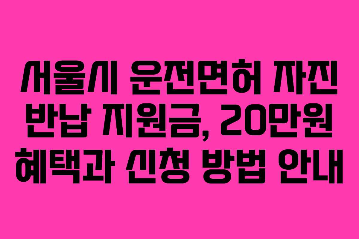 서울시 운전면허 자진 반납 지원금, 20만원 혜택과 신청 방법 안내