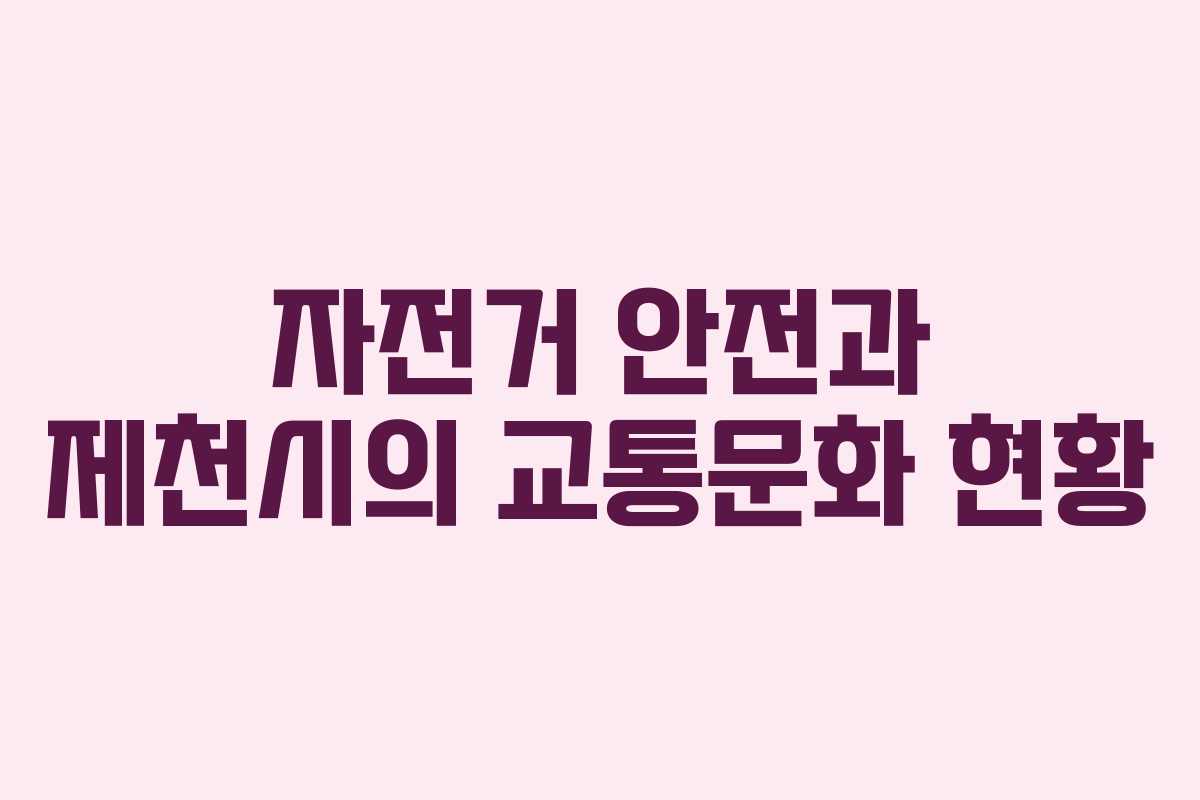 자전거 안전과 제천시의 교통문화 현황