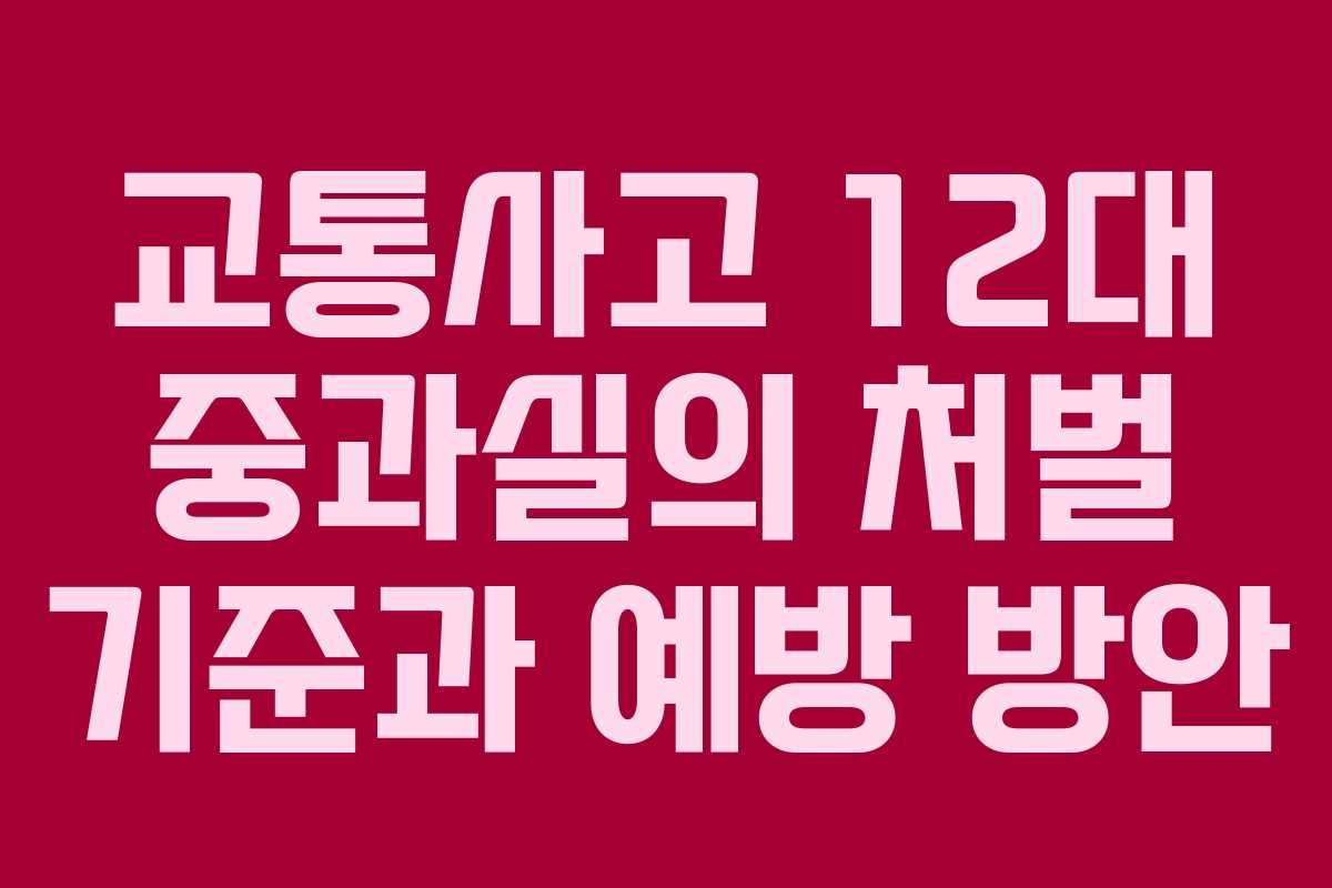교통사고 12대 중과실의 처벌 기준과 예방 방안