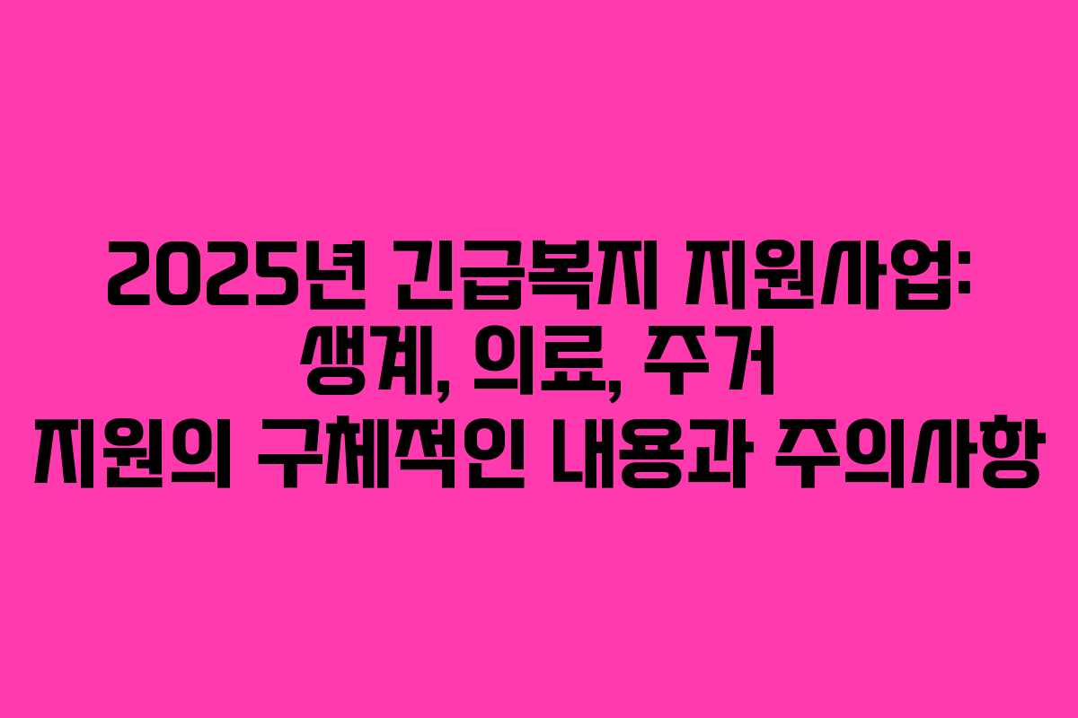 2025년 긴급복지 지원사업: 생계, 의료, 주거 지원의 구체적인 내용과 주의사항