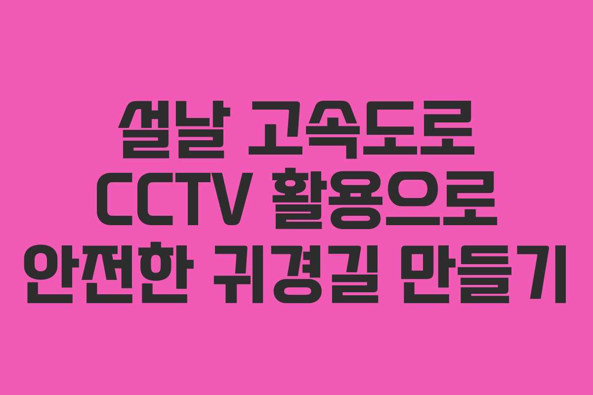 설날 고속도로 CCTV 활용으로 안전한 귀경길 만들기