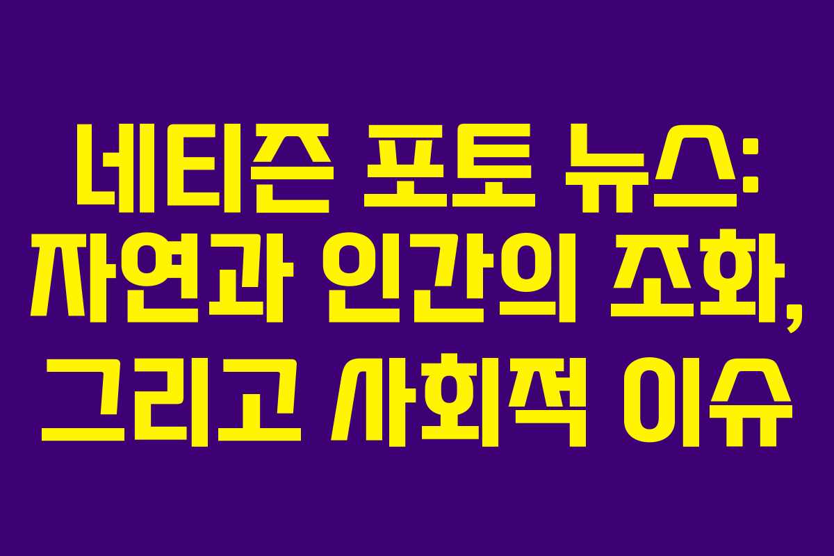 네티즌 포토 뉴스: 자연과 인간의 조화, 그리고 사회적 이슈