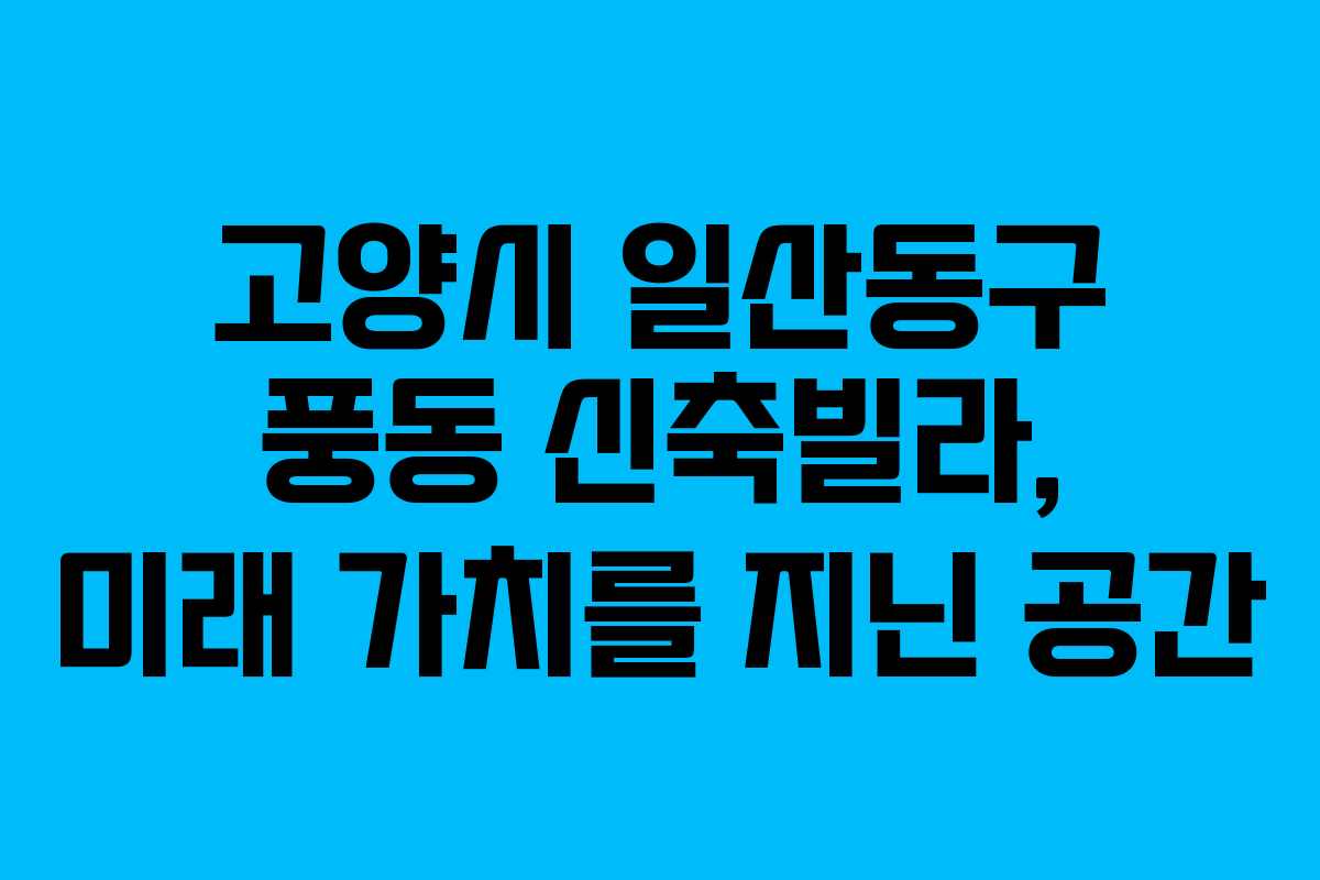 고양시 일산동구 풍동 신축빌라, 미래 가치를 지닌 공간