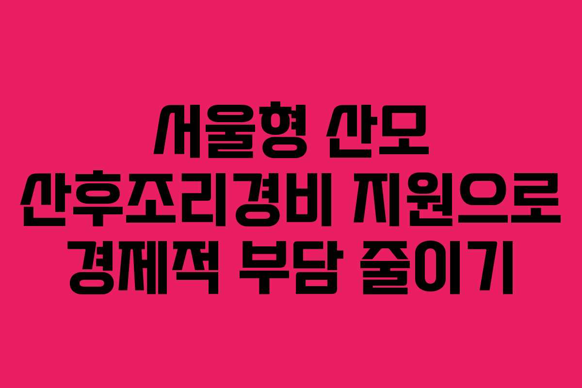 서울형 산모 산후조리경비 지원으로 경제적 부담 줄이기