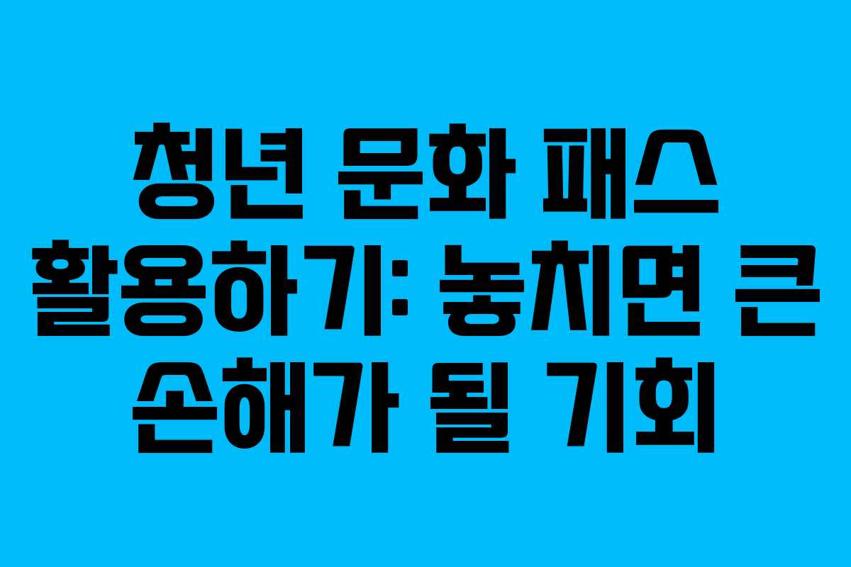 청년 문화 패스 활용하기: 놓치면 큰 손해가 될 기회 청년 문화 패스 활용하기: 놓치면 큰 손해가 될 기회