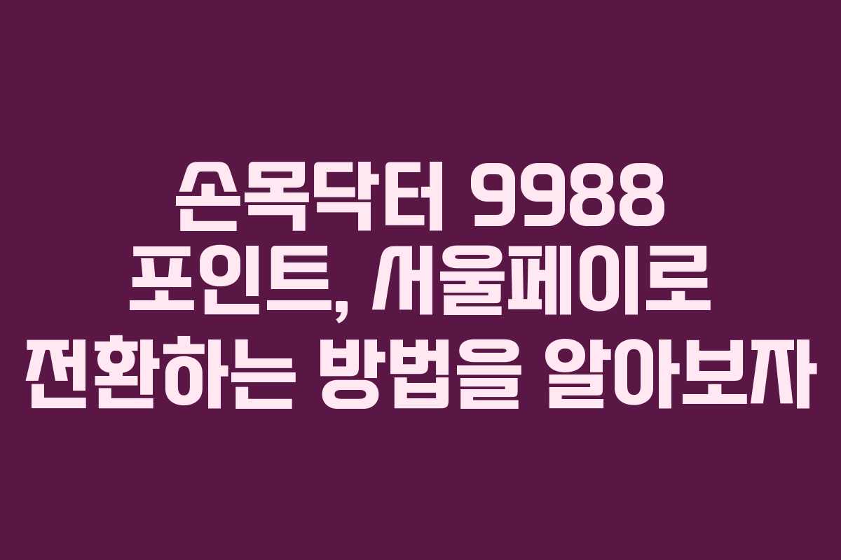 손목닥터 9988 포인트, 서울페이로 전환하는 방법을 알아보자 손목닥터 9988 포인트, 서울페이로 전환하는 방법을 알아보자
