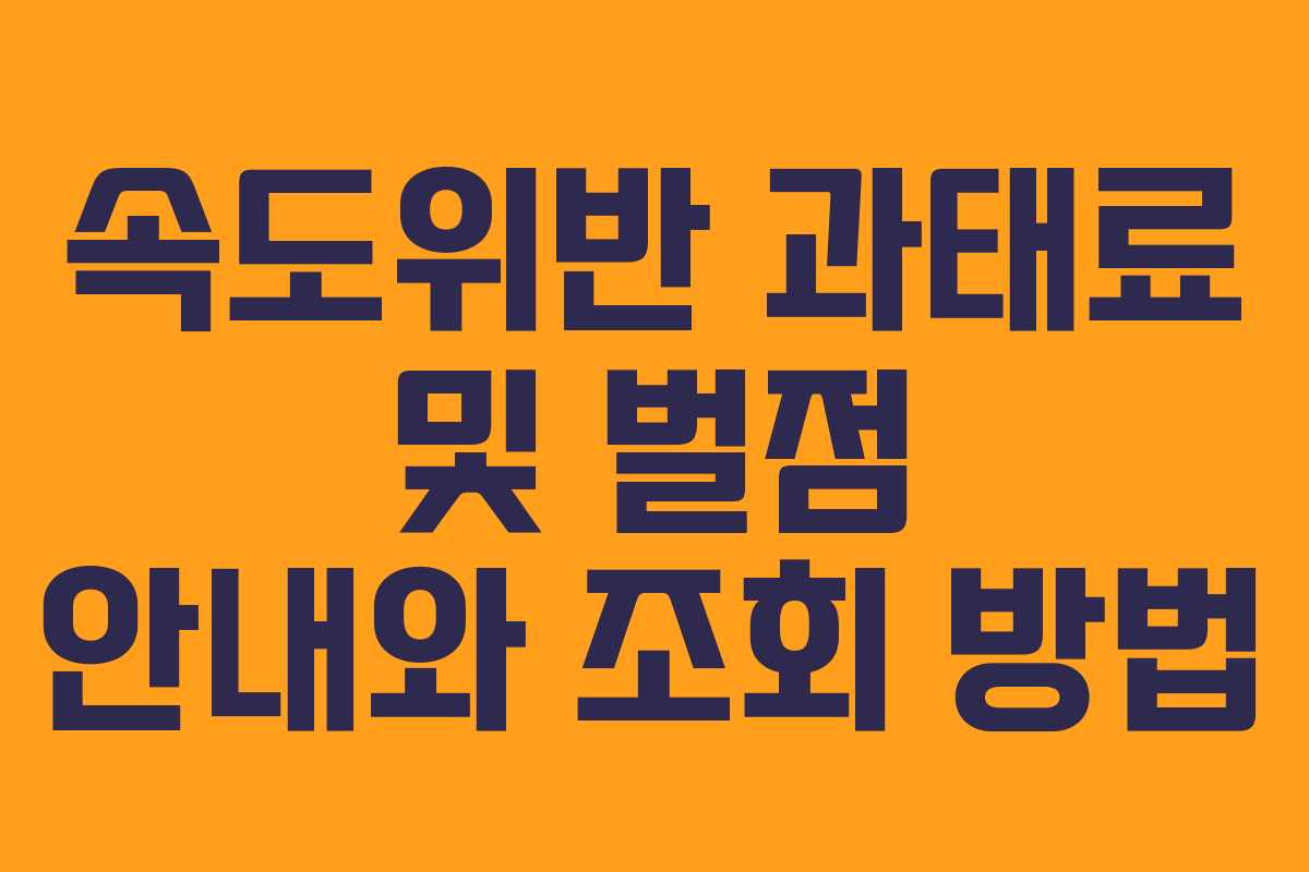 속도위반 과태료 및 벌점 안내와 조회 방법