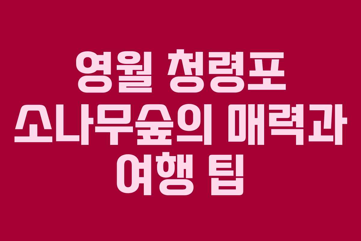 영월 청령포 소나무숲의 매력과 여행 팁