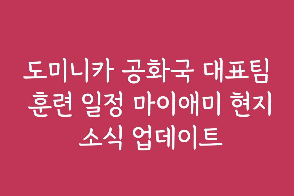 도미니카 공화국 대표팀 훈련 일정 마이애미 현지 소식 업데이트