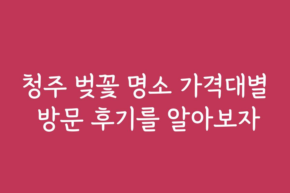 청주 벚꽃 명소 가격대별 방문 후기를 알아보자