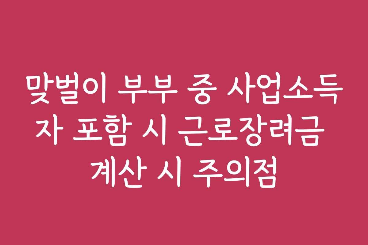 맞벌이 부부 중 사업소득자 포함 시 근로장려금 계산 시 주의점