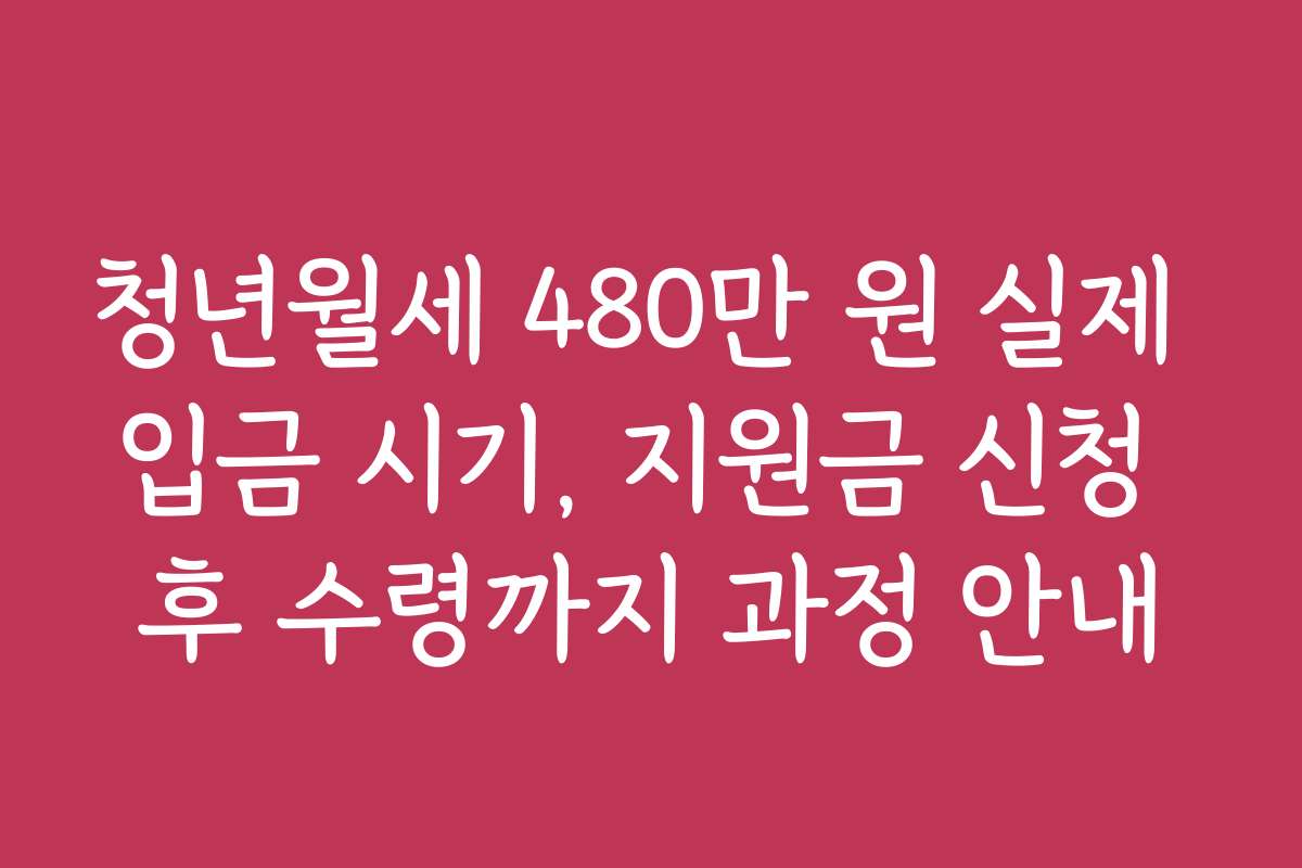 청년월세 480만 원 실제 입금 시기, 지원금 신청 후 수령까지 과정 안내