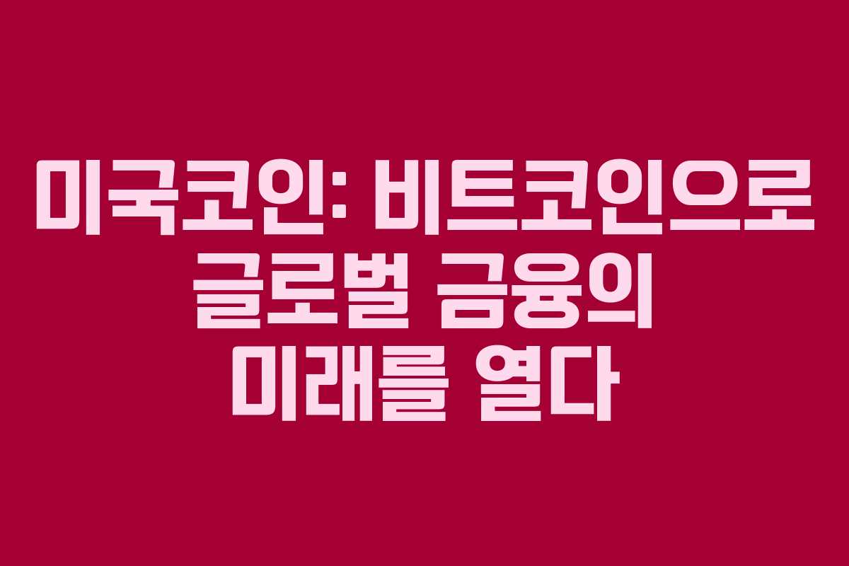 미국코인: 비트코인으로 글로벌 금융의 미래를 열다