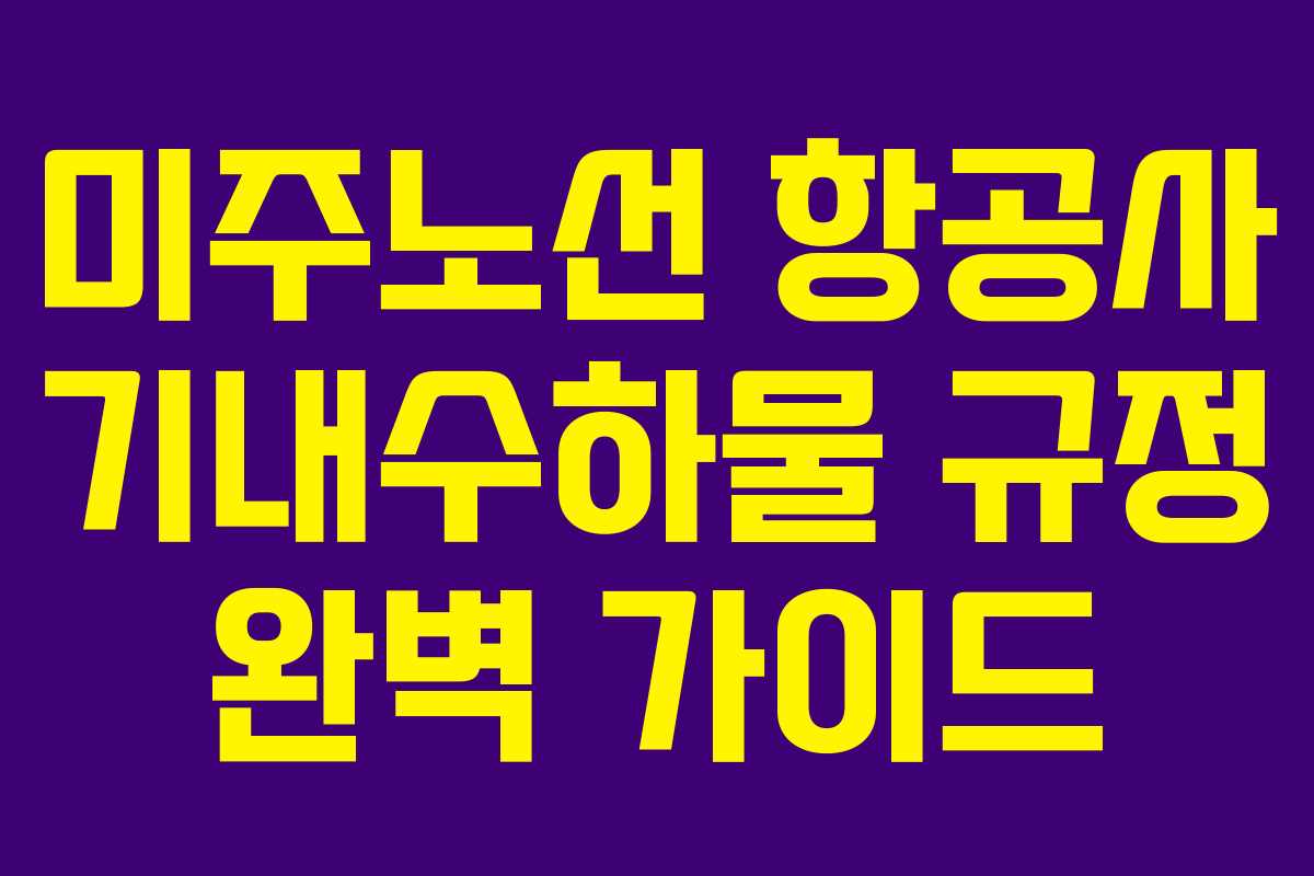 미주노선 항공사 기내수하물 규정 완벽 가이드