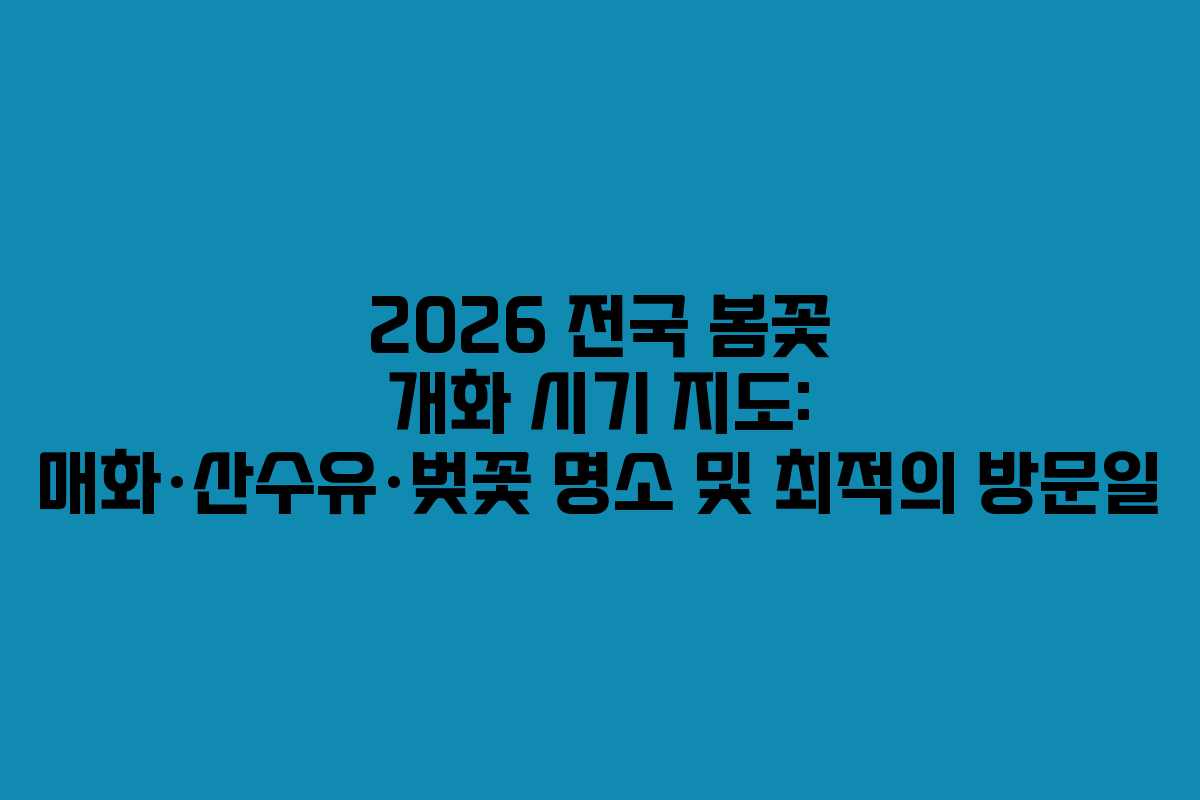 2026 전국 봄꽃 개화 시기 지도: 매화·산수유·벚꽃 명소 및 최적의 방문일