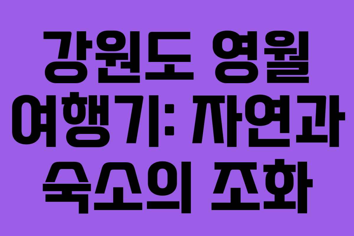 강원도 영월 여행기: 자연과 숙소의 조화