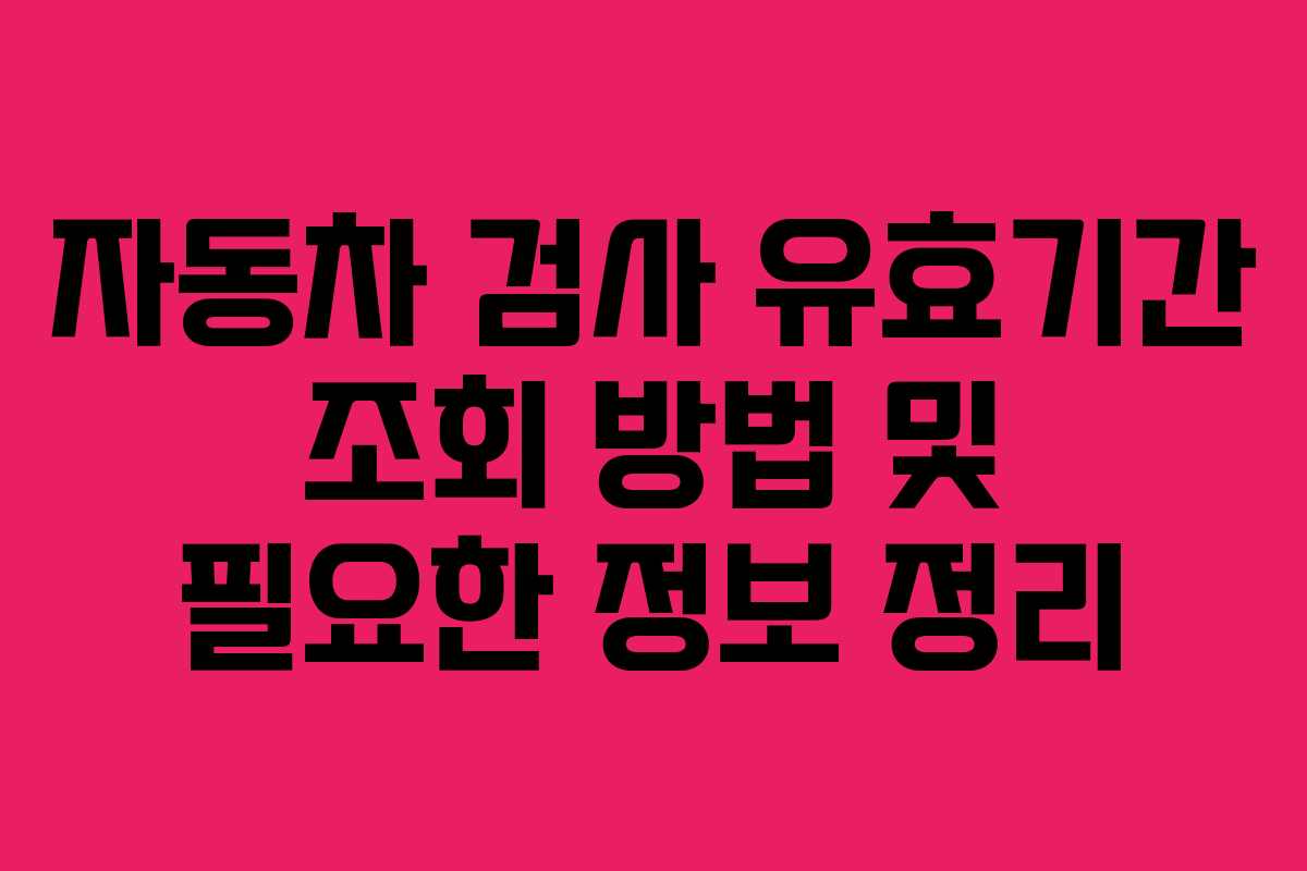 자동차 검사 유효기간 조회 방법 및 필요한 정보 정리