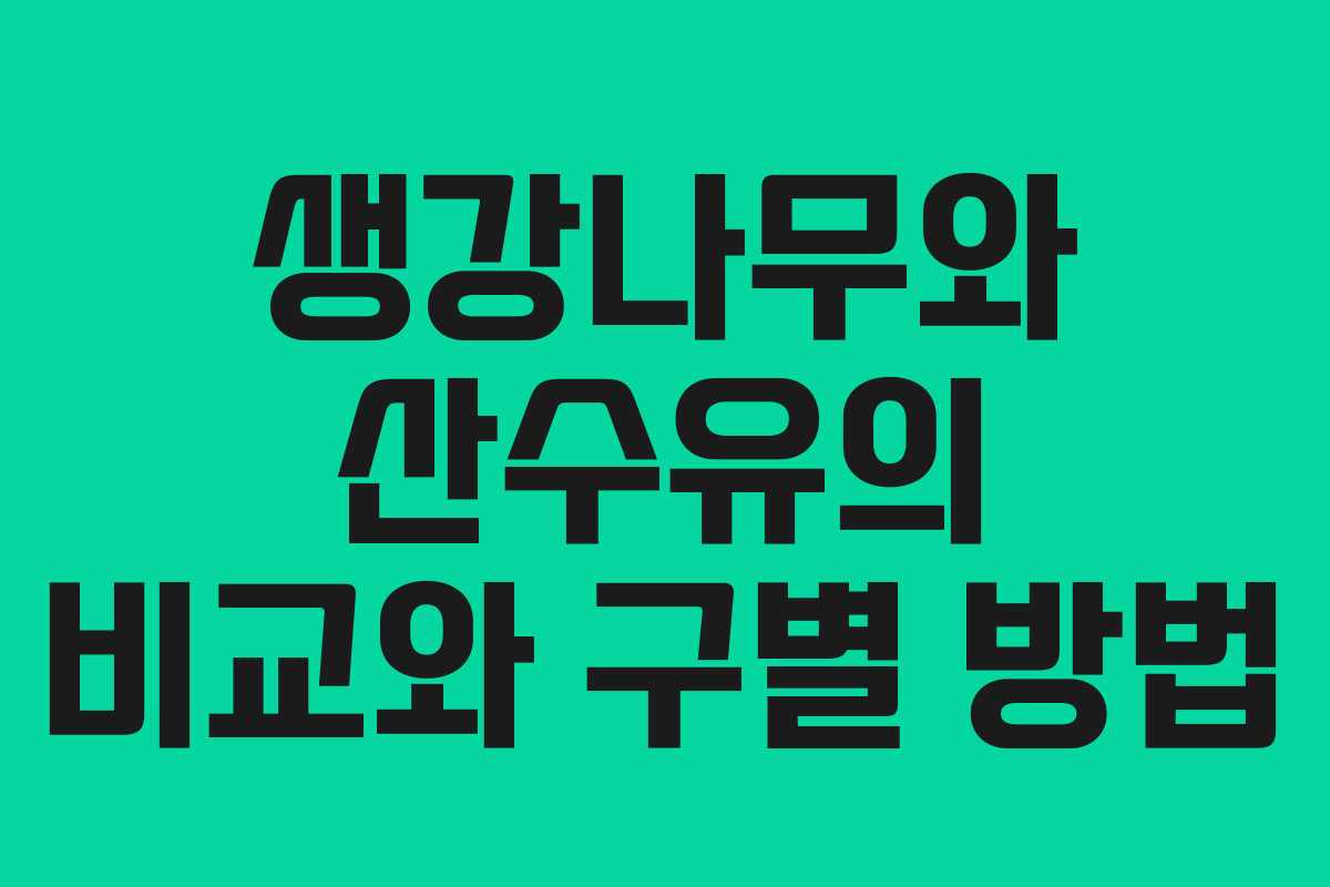 생강나무와 산수유의 비교와 구별 방법