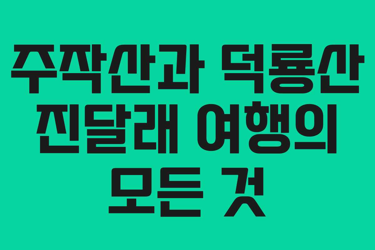 주작산과 덕룡산 진달래 여행의 모든 것
