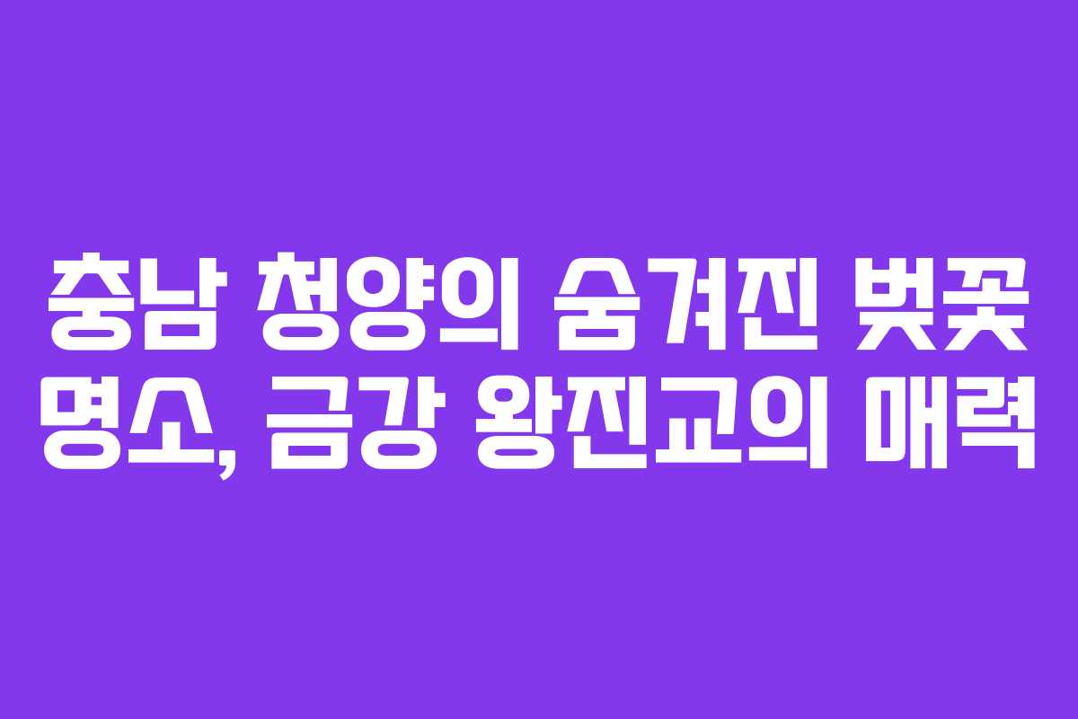 충남 청양의 숨겨진 벚꽃 명소, 금강 왕진교의 매력 충남 청양의 숨겨진 벚꽃 명소, 금강 왕진교의 매력