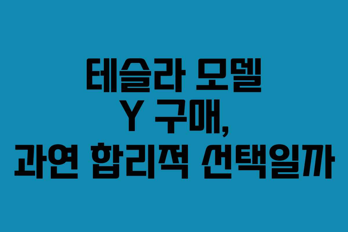테슬라 모델 Y 구매, 과연 합리적 선택일까 테슬라 모델 Y 구매, 과연 합리적 선택일까