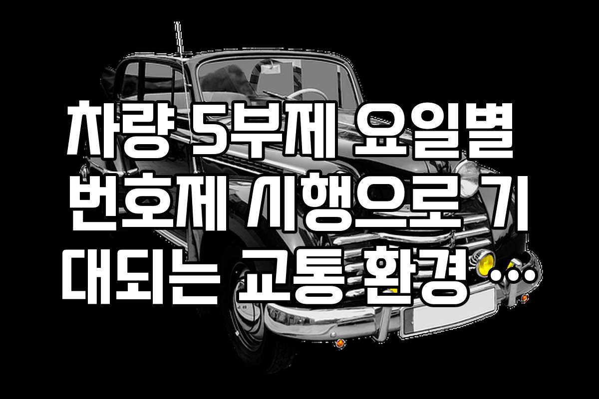 차량 5부제 요일별 번호제 시행으로 기대되는 교통 환경 변화
