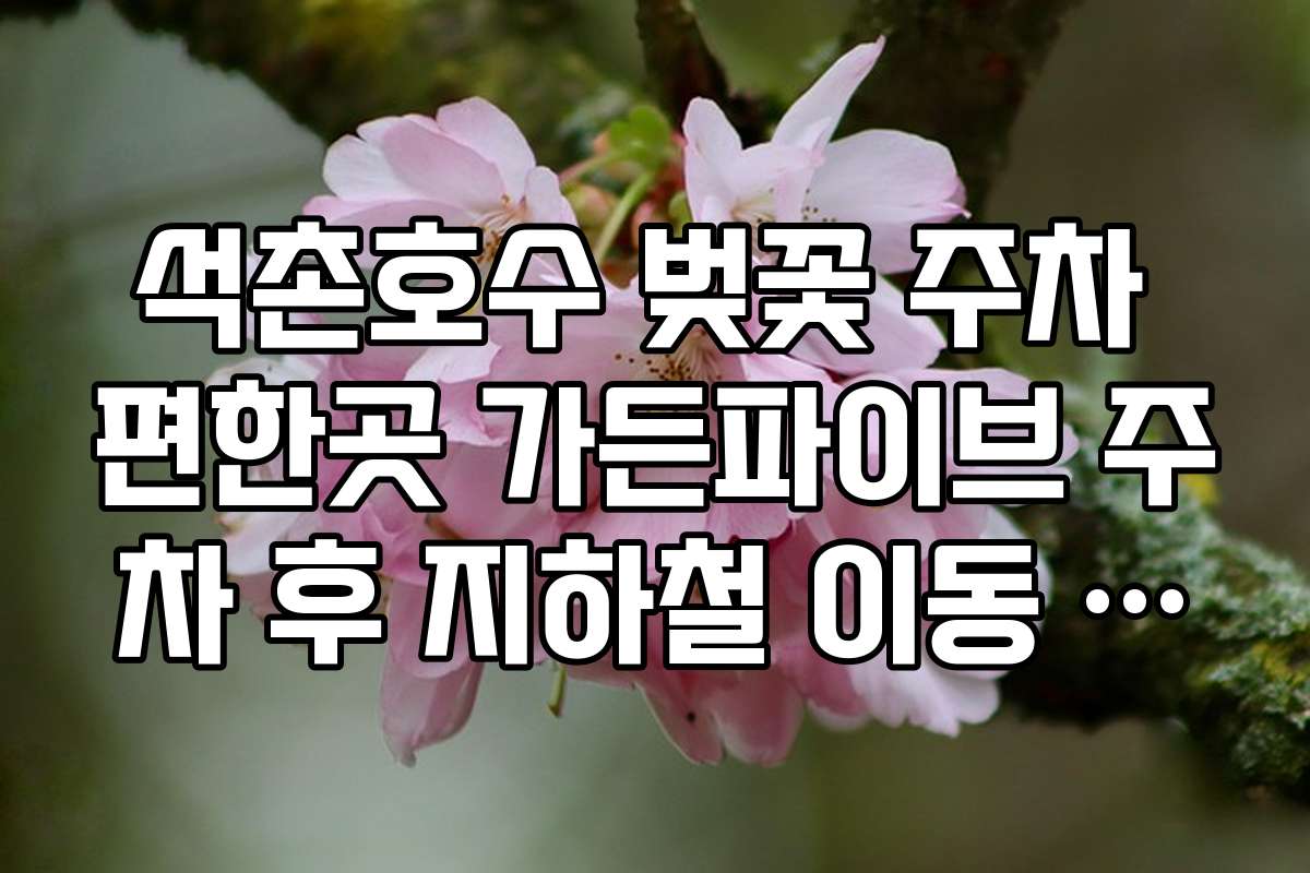 석촌호수 벚꽃 주차 편한곳 가든파이브 주차 후 지하철 이동 방법