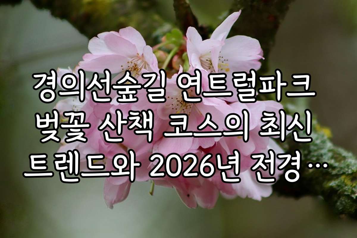 경의선숲길 연트럴파크 벚꽃 산책 코스의 최신 트렌드와 2026년 전경 전망 예측