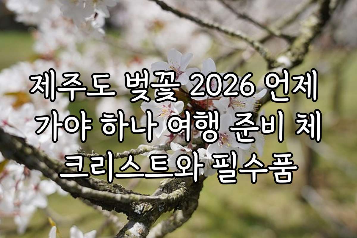 제주도 벚꽃 2026 언제 가야 하나 여행 준비 체크리스트와 필수품