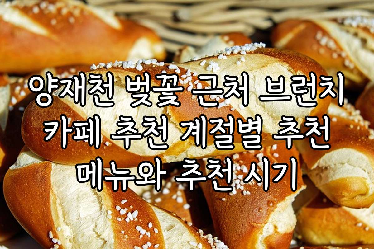 양재천 벚꽃 근처 브런치 카페 추천 계절별 추천 메뉴와 추천 시기