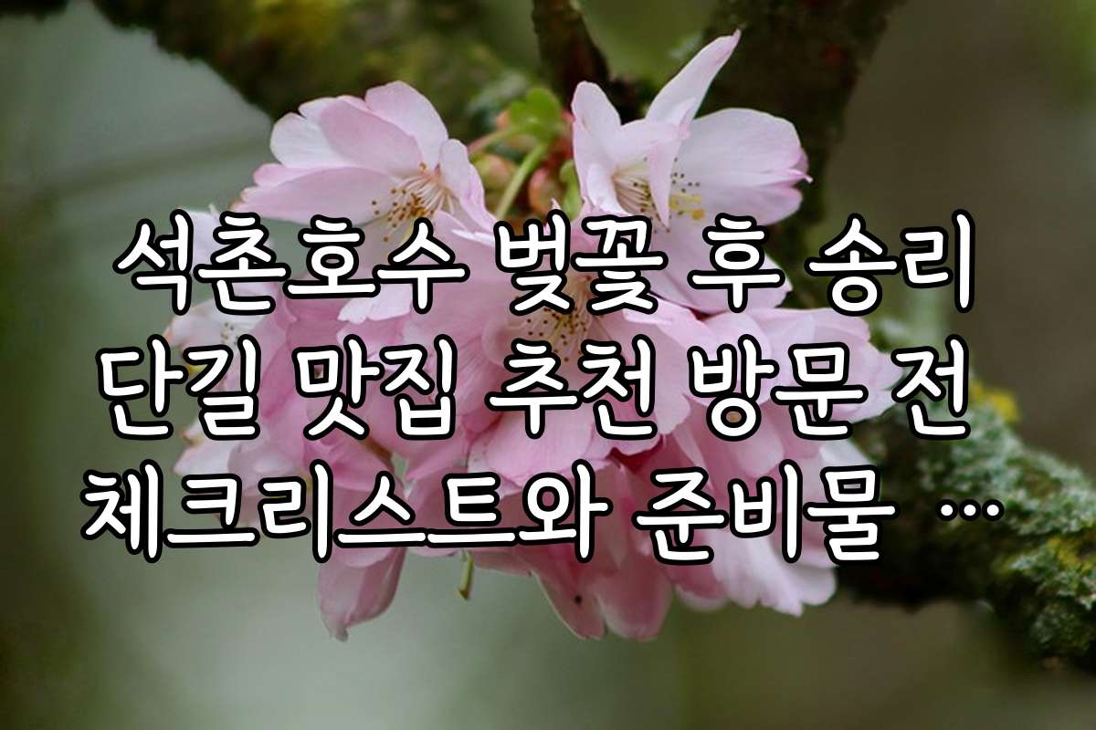 석촌호수 벚꽃 후 송리단길 맛집 추천 방문 전 체크리스트와 준비물 안내