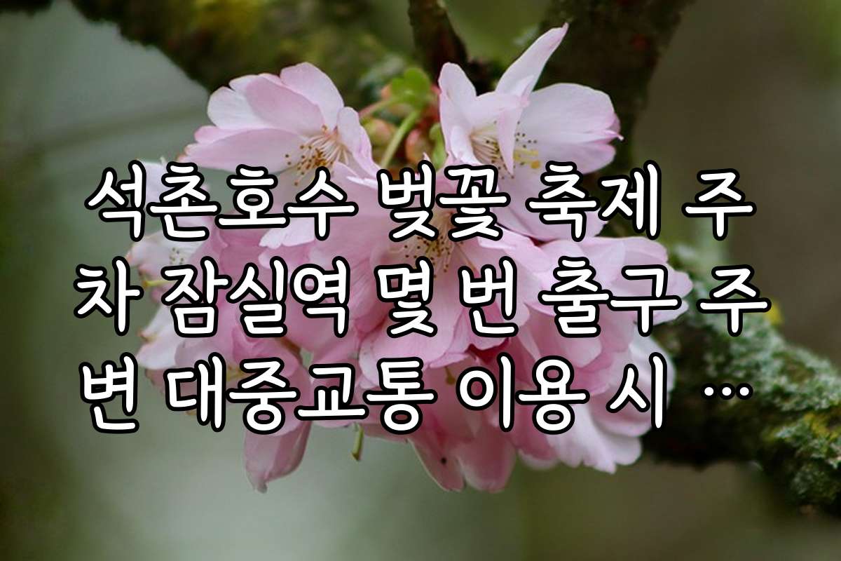 석촌호수 벚꽃 축제 주차 잠실역 몇 번 출구 주변 대중교통 이용 시 대기 시간 예측하기