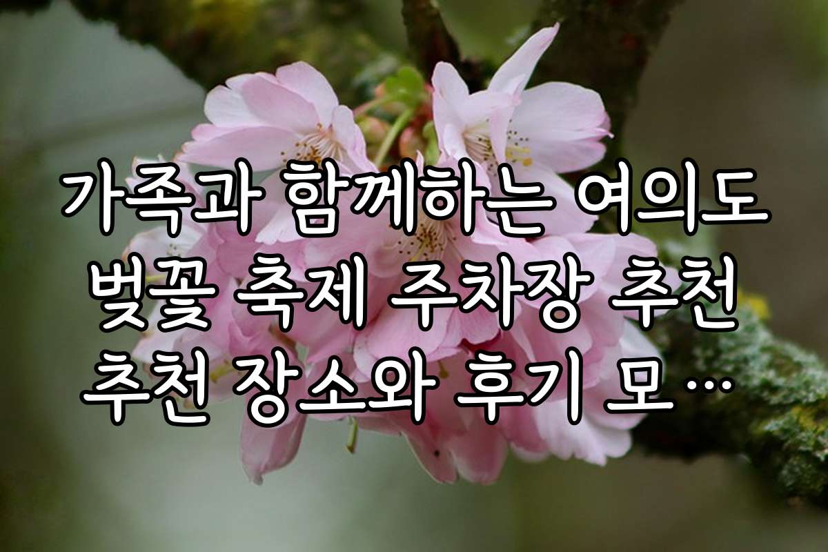 가족과 함께하는 여의도 벚꽃 축제 주차장 추천 추천 장소와 후기 모음입니다