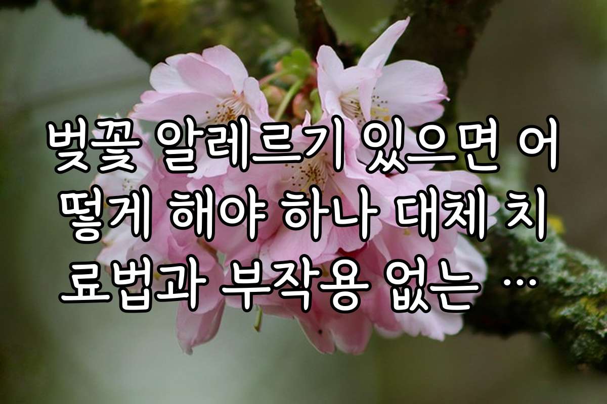 벚꽃 알레르기 있으면 어떻게 해야 하나 대체 치료법과 부작용 없는 방법 소개