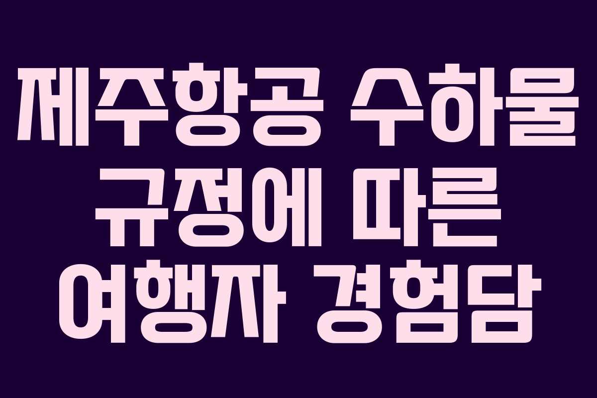 제주항공 수하물 규정에 따른 여행자 경험담