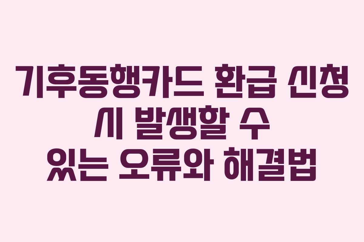 기후동행카드 환급 신청 시 발생할 수 있는 오류와 해결법
