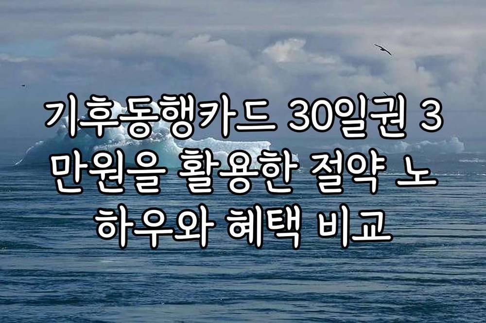 기후동행카드 30일권 3만원을 활용한 절약 노하우와 혜택 비교